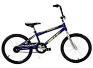 Boy's 20" Bike