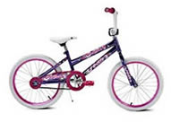 Girl's 20" Bike