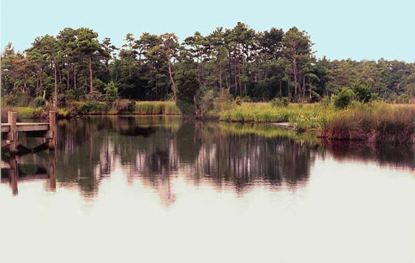 Kayak Tour Launch Site